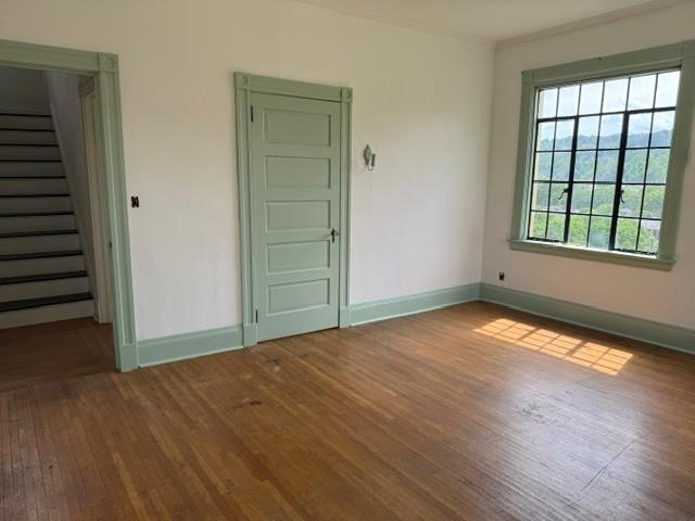 Gallery Image 15
