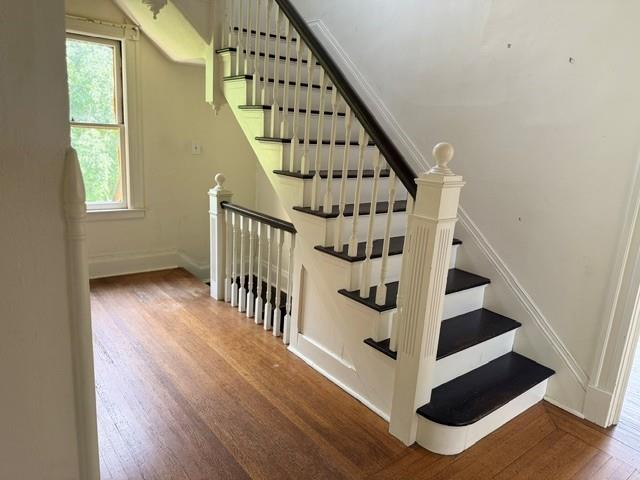 Gallery Image 19