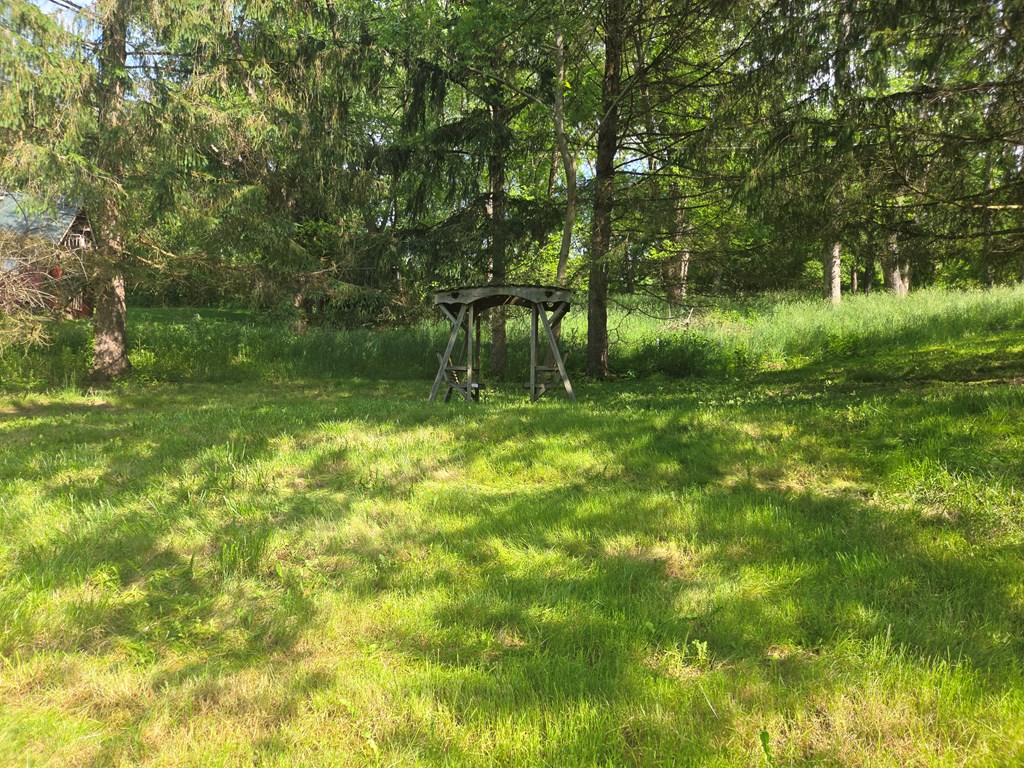 Gallery Image 12
