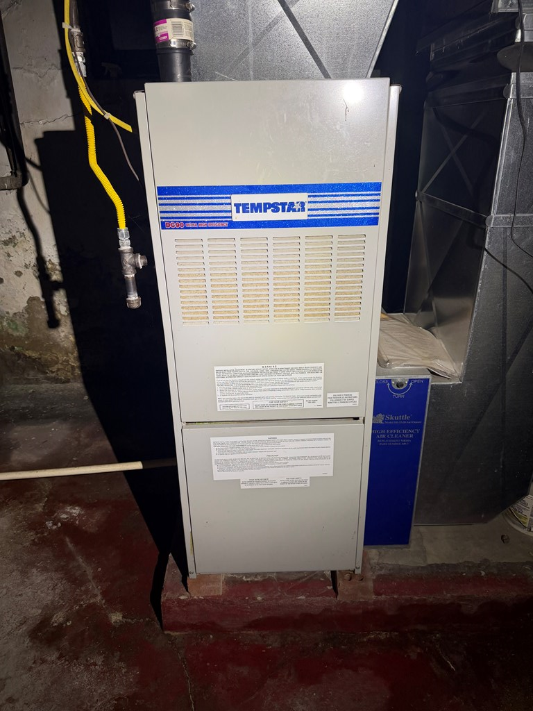 Gallery Image 13