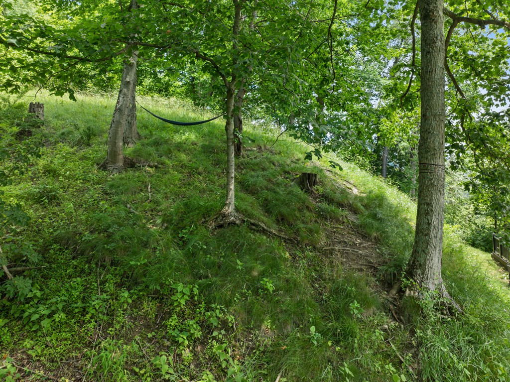 Gallery Image 35