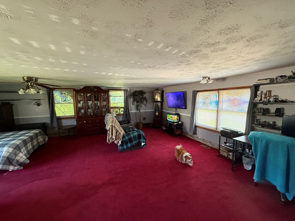Gallery Image 17