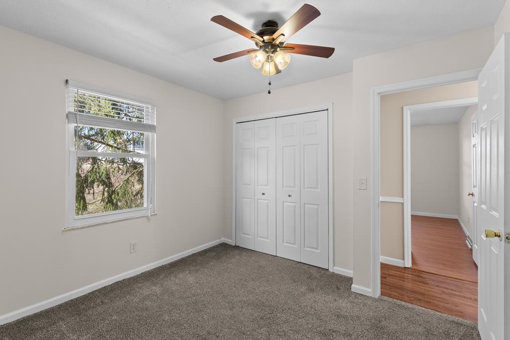 Gallery Image 16