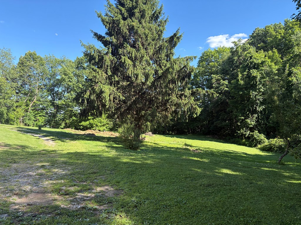 Gallery Image 9