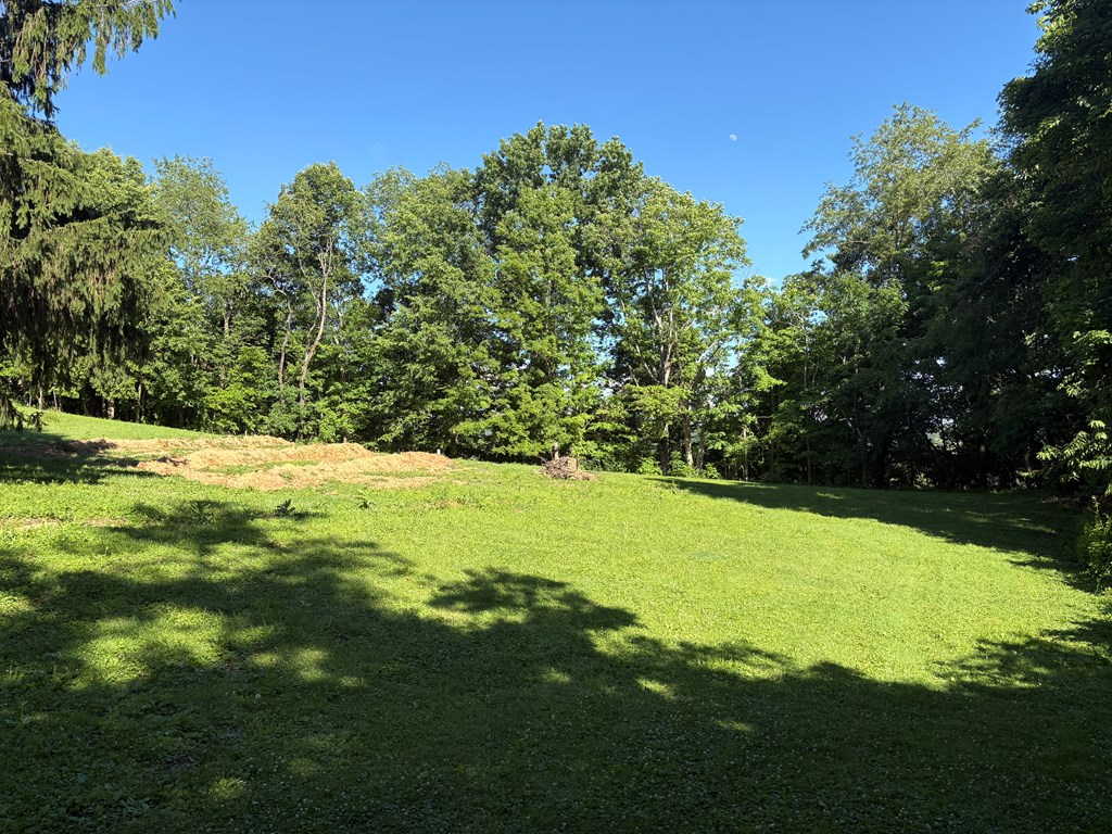 Gallery Image 10
