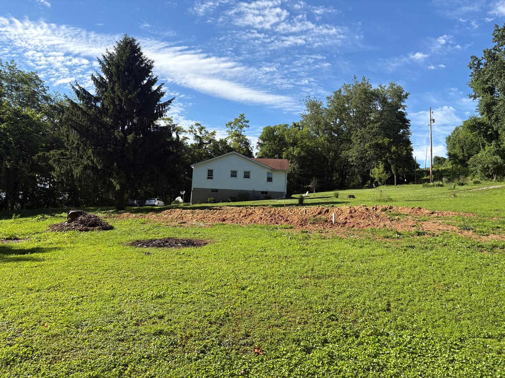 Gallery Image 11