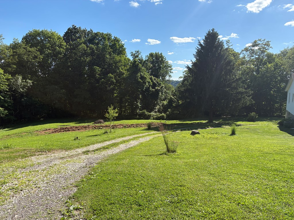 Gallery Image 13