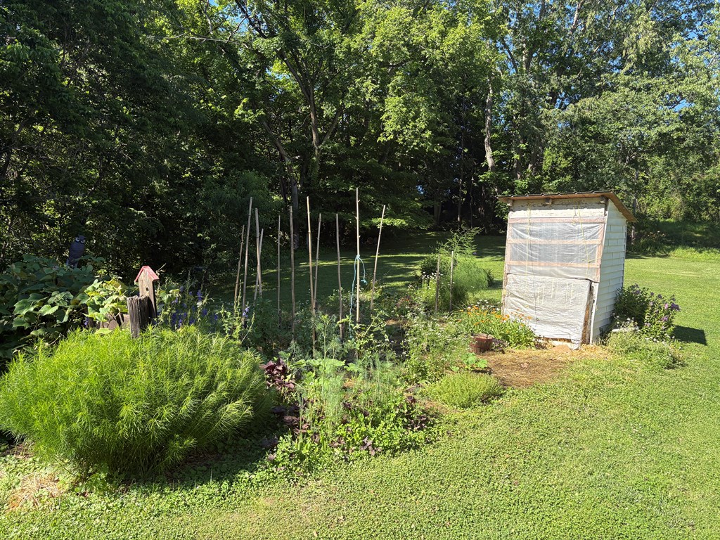 Gallery Image 6