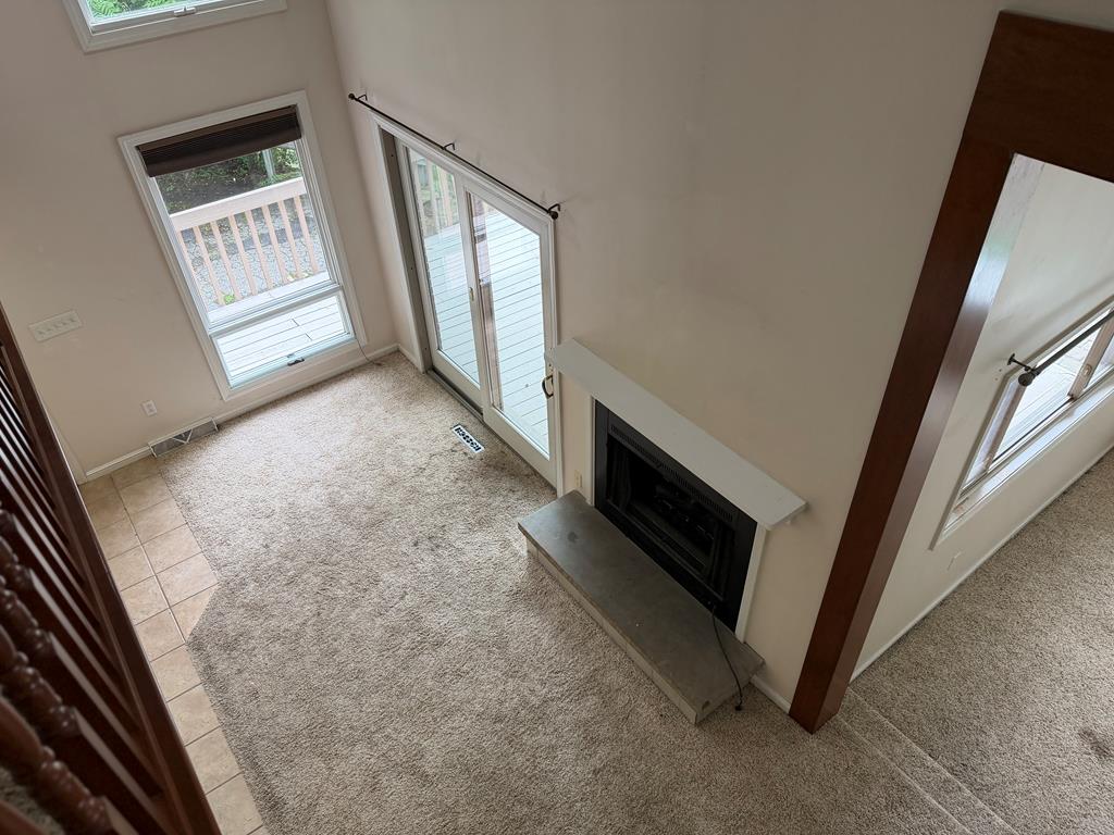 Gallery Image 14