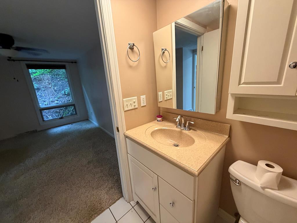 Gallery Image 19