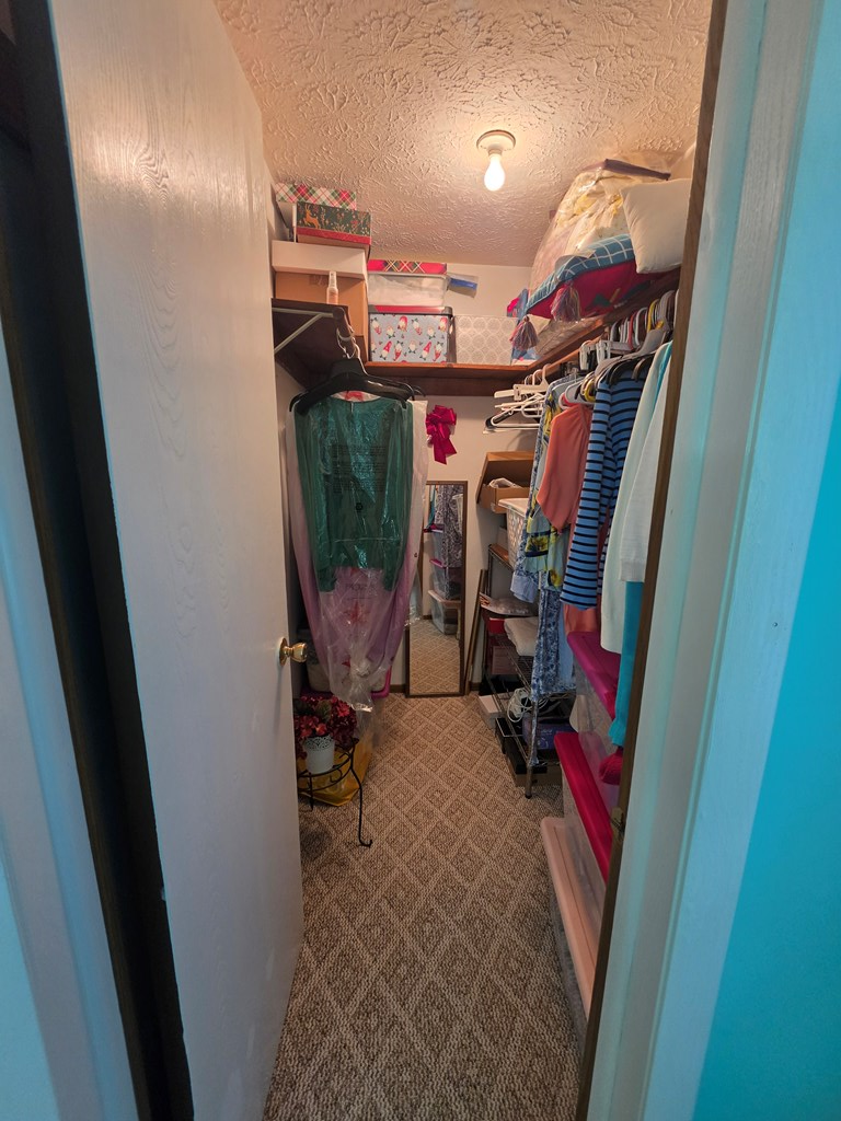 Gallery Image 20