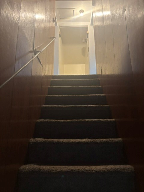 Gallery Image 17