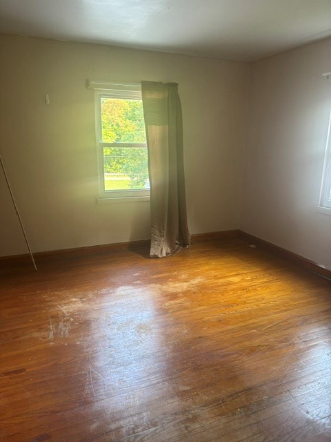 Gallery Image 18