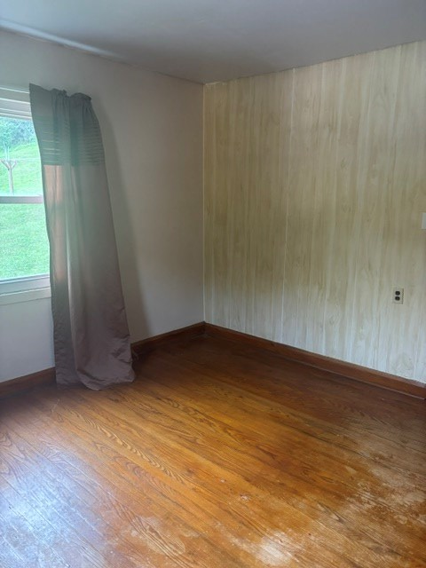 Gallery Image 19