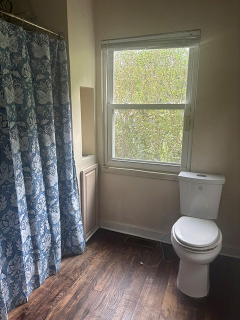 Gallery Image 25