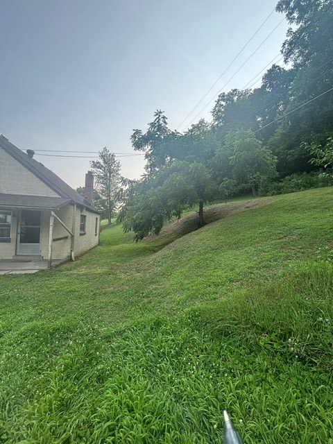 Gallery Image 6