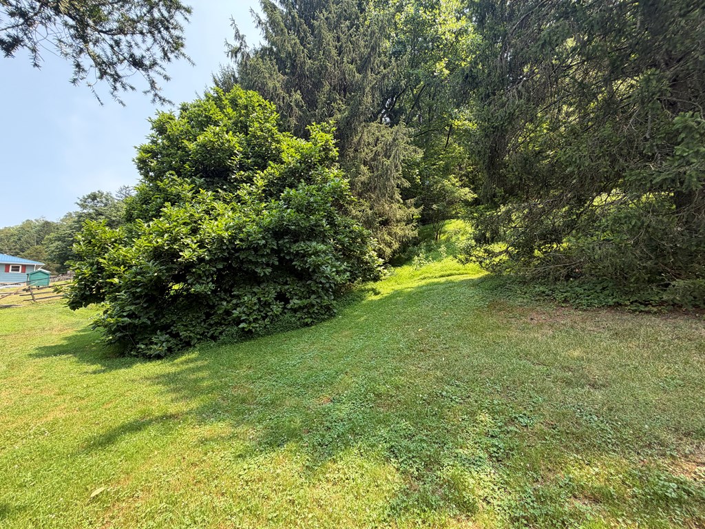 Gallery Image 27