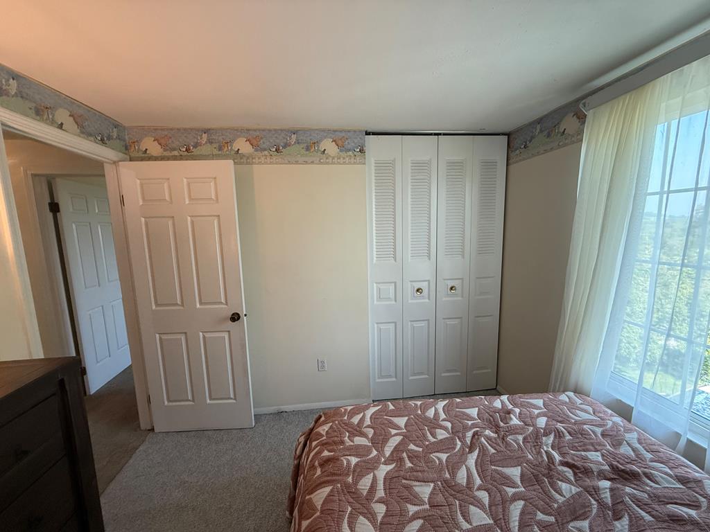 Gallery Image 14