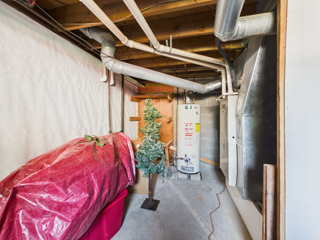 Gallery Image 19