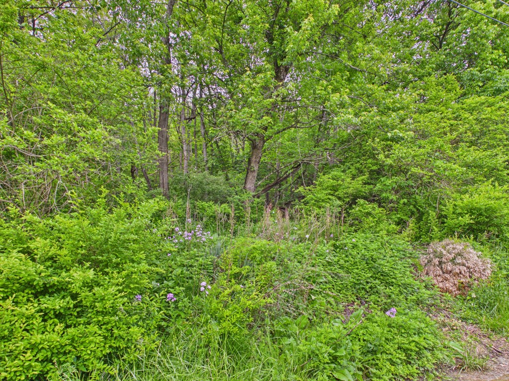 Gallery Image 49