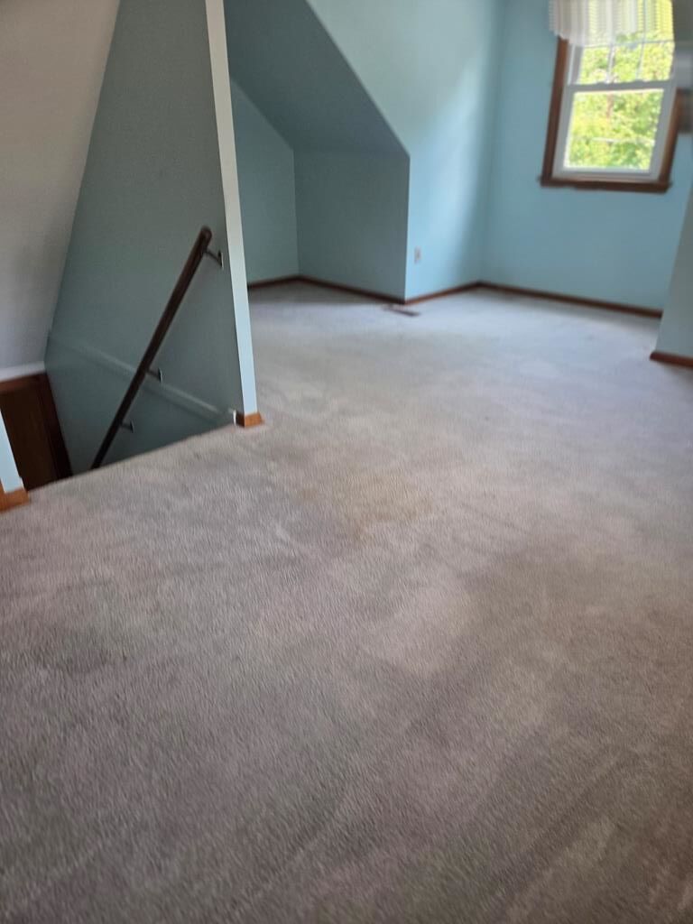 Gallery Image 45