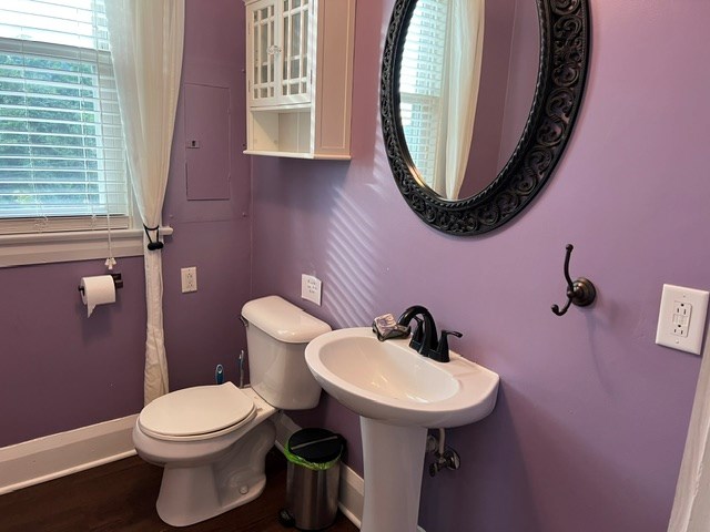 Gallery Image 11