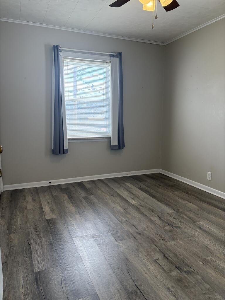 Gallery Image 20