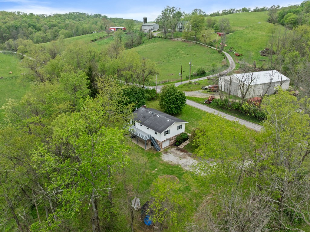 Gallery Image 37