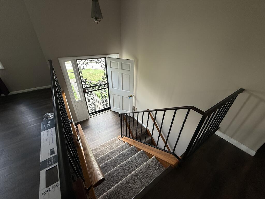 Gallery Image 42