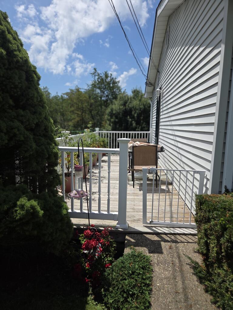 Gallery Image 11