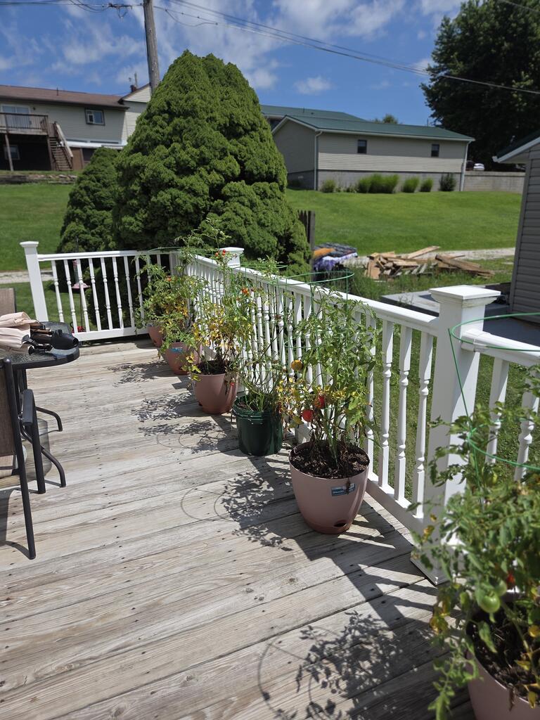 Gallery Image 13