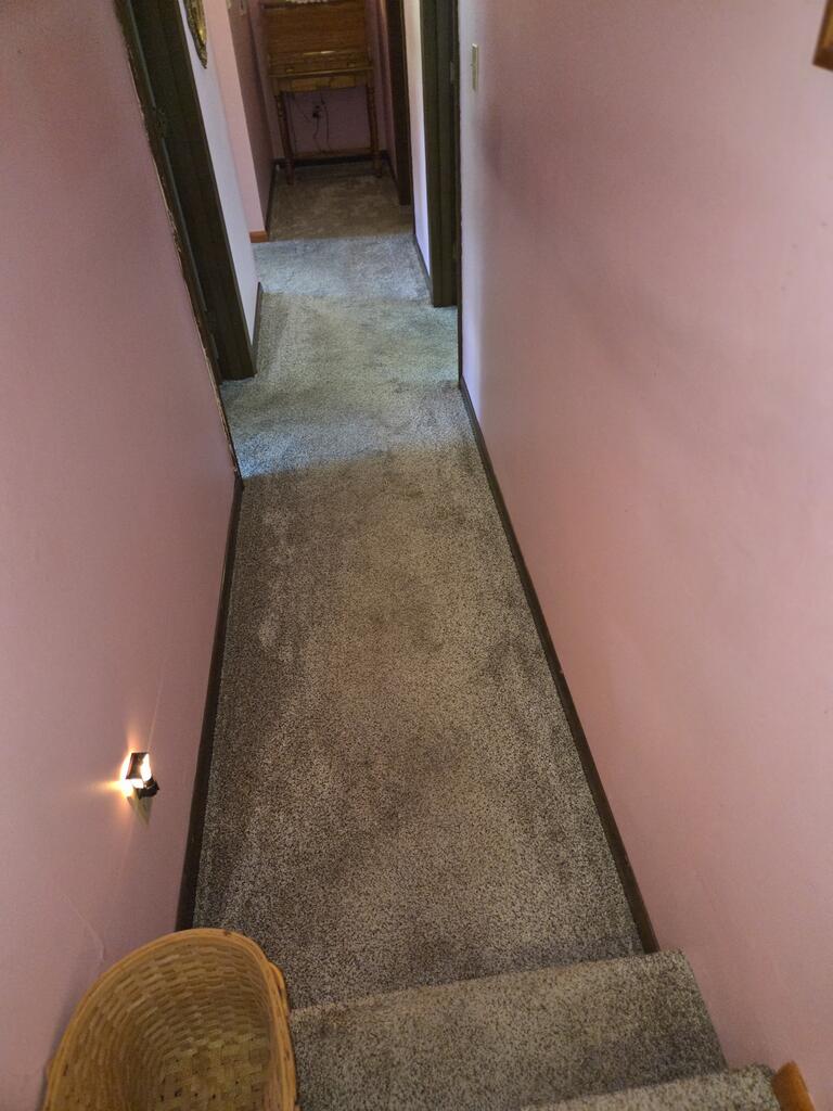 Gallery Image 37