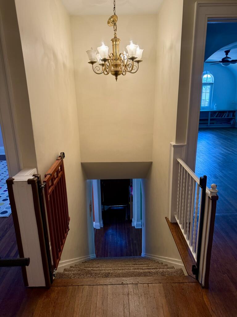 Gallery Image 13