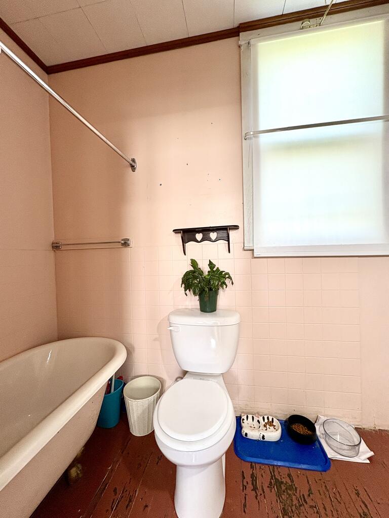Gallery Image 19