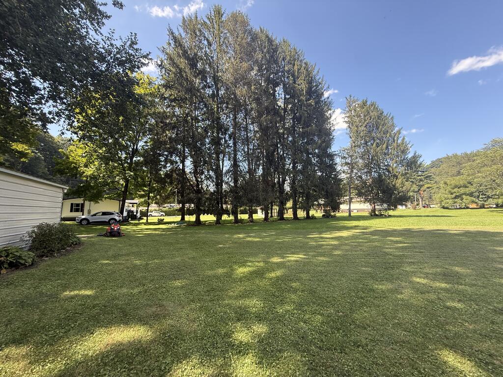Gallery Image 26