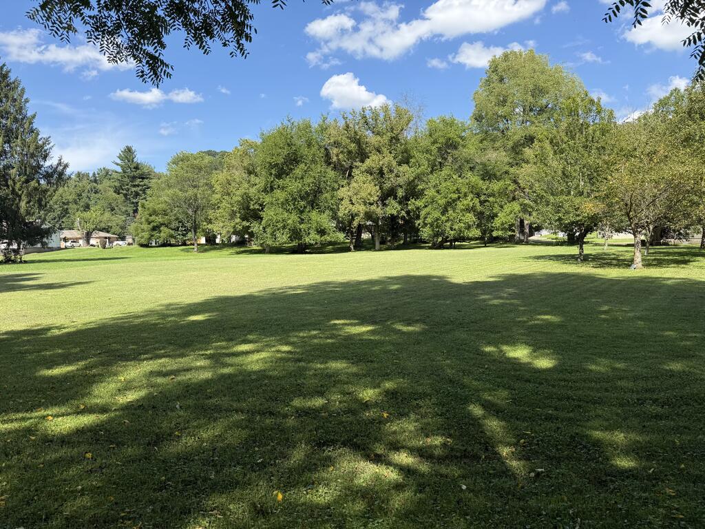 Gallery Image 35