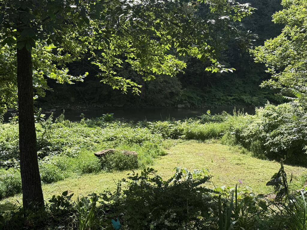 Gallery Image 41