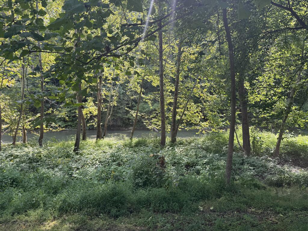 Gallery Image 42