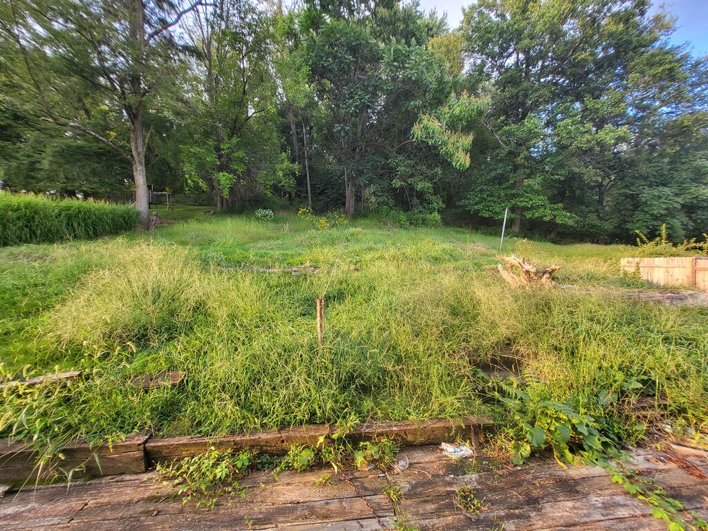 Gallery Image 15