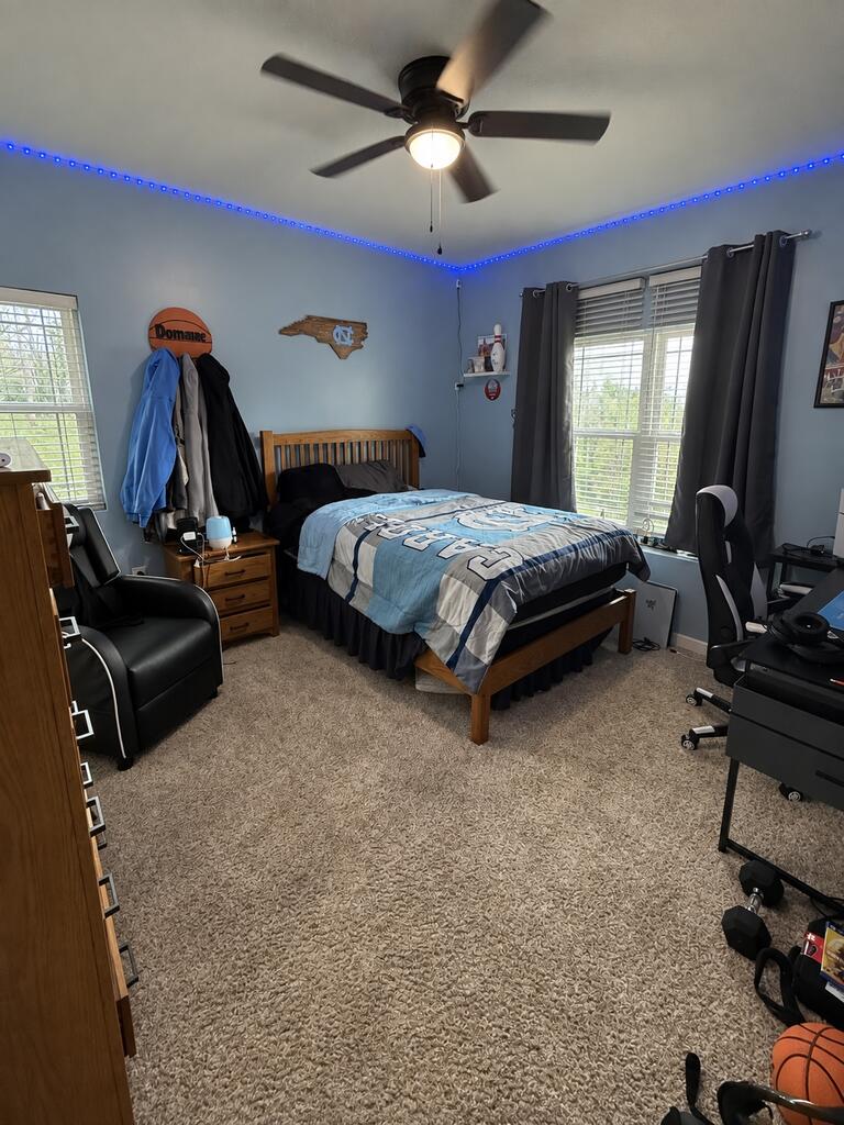Gallery Image 15