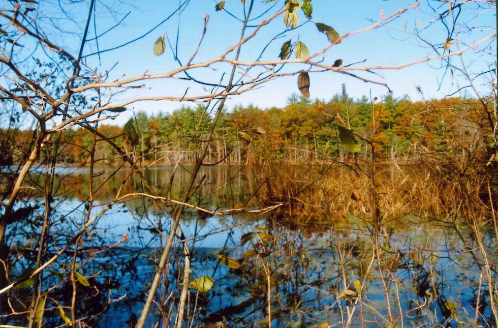 Cutting Farm » Sudbury