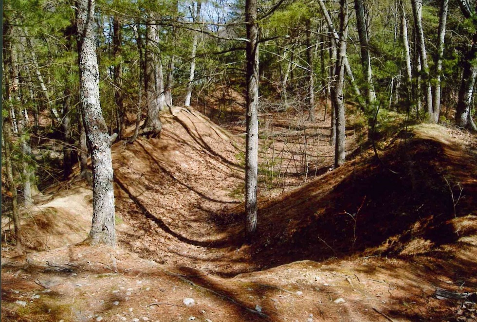 Haynes Meadow Conservation Land » Sudbury