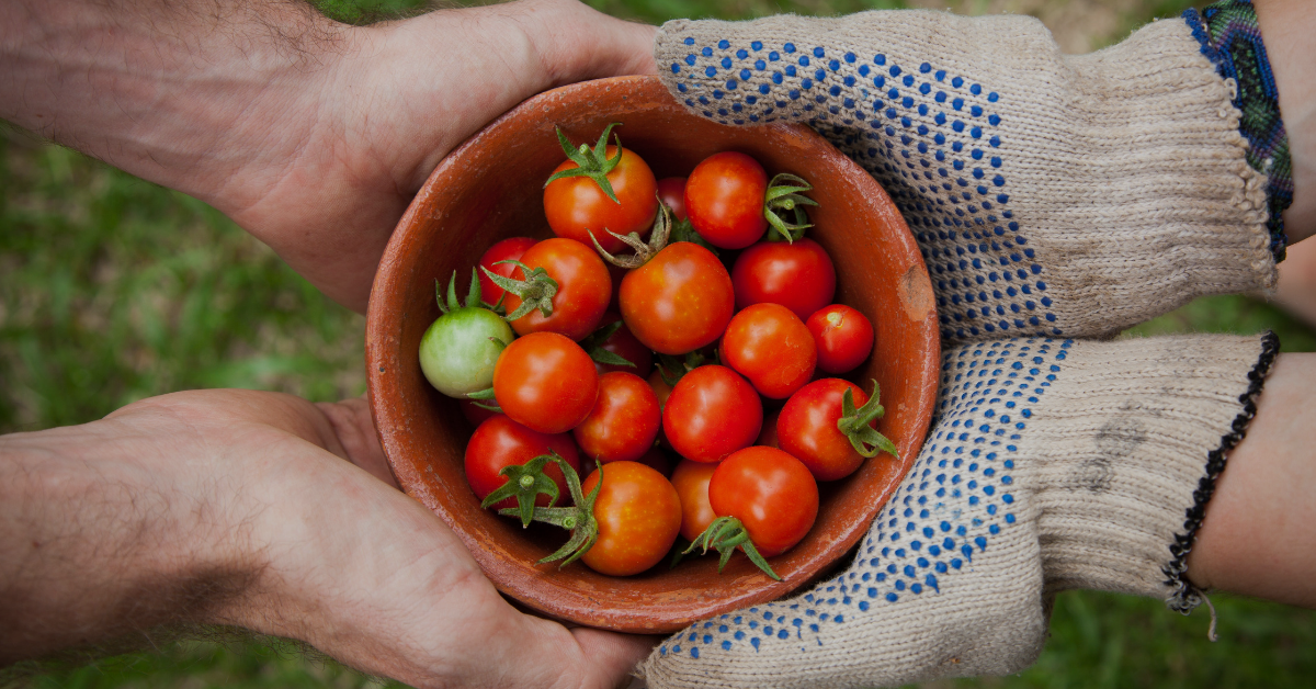 10 Creative Service Learning Projects