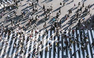 Taller de Herramientas Estadísticas para el Análisis Socio-Político