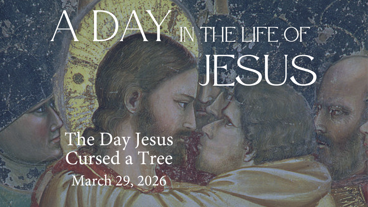 The Day Jesus Cursed a Tree