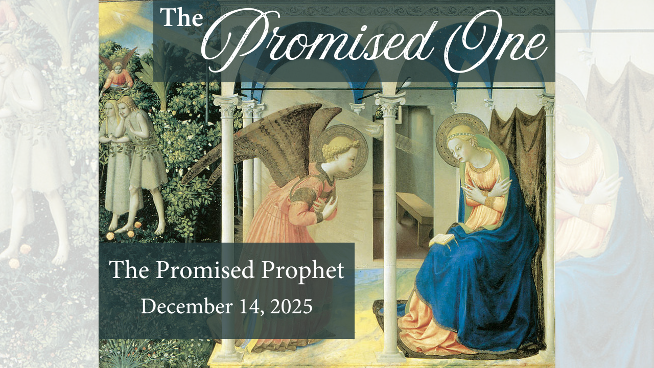 The Promised Prophet