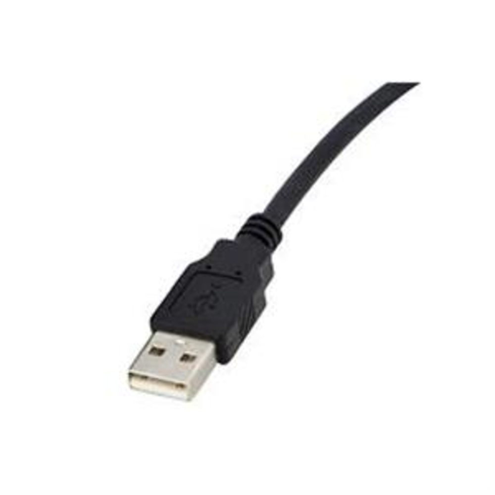 Thumbnail for Image 9