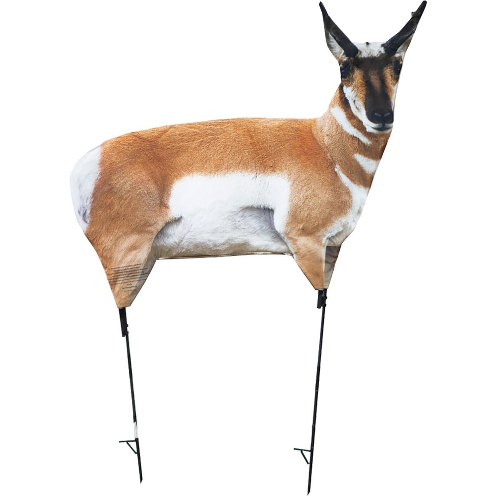 Thumbnail for Image 5