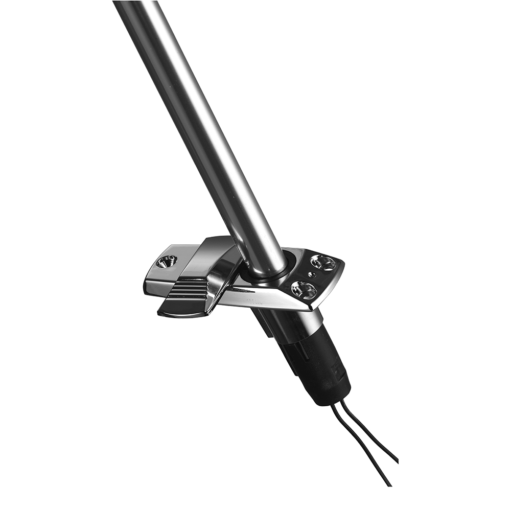 Thumbnail for Image 2