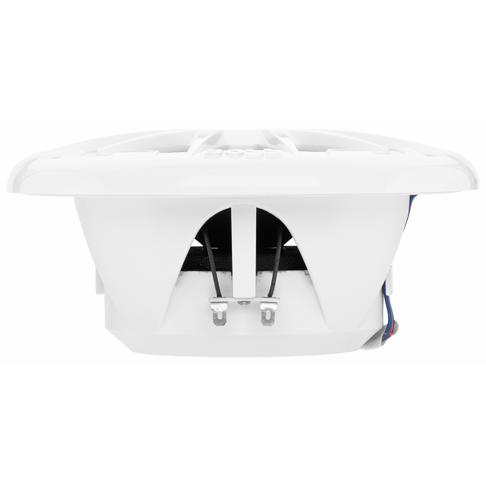 Thumbnail for Image 8